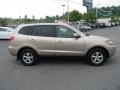 Golden Beige - Santa Fe GLS 4WD Photo No. 8