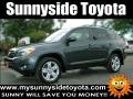 Everglade Metallic 2008 Toyota RAV4 Limited