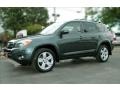 Everglade Metallic - RAV4 Limited Photo No. 2