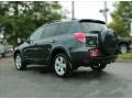 Everglade Metallic - RAV4 Limited Photo No. 4