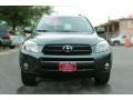 Everglade Metallic - RAV4 Limited Photo No. 9