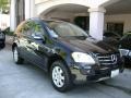 Black - ML 350 4Matic Photo No. 1