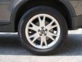 Titanium Gray Metallic - XC90 V8 AWD Photo No. 13