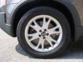 Titanium Gray Metallic - XC90 V8 AWD Photo No. 14