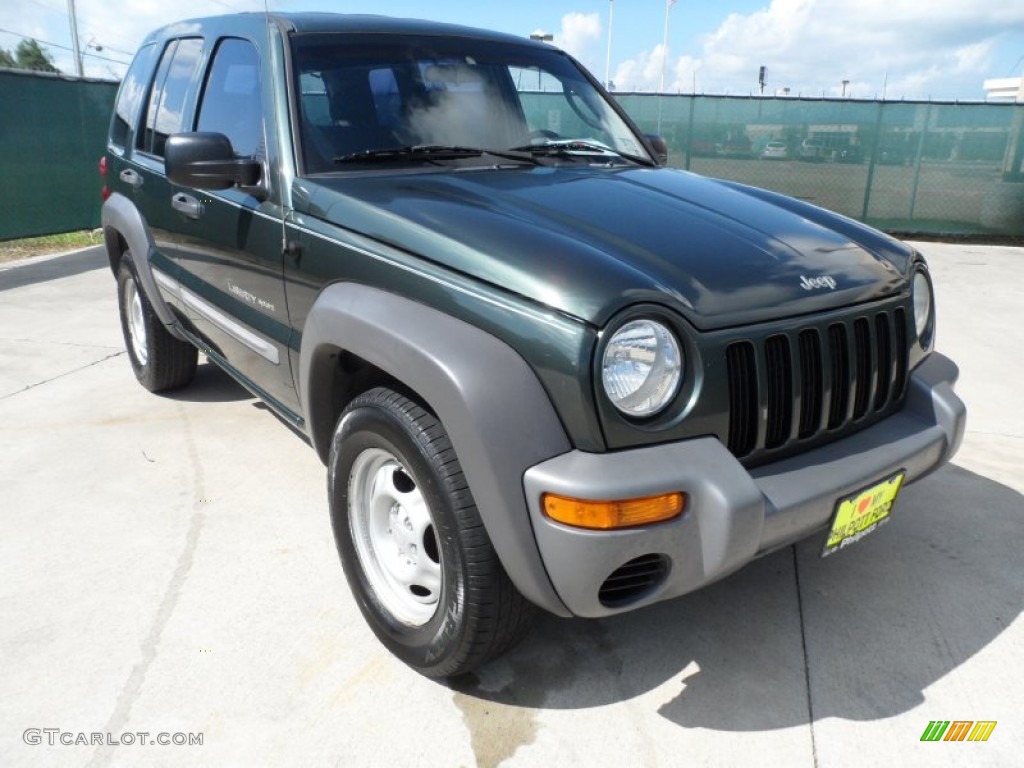 2002 Liberty Sport - Shale Green Metallic / Dark Slate Gray photo #1