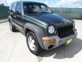 2002 Shale Green Metallic Jeep Liberty Sport  photo #1