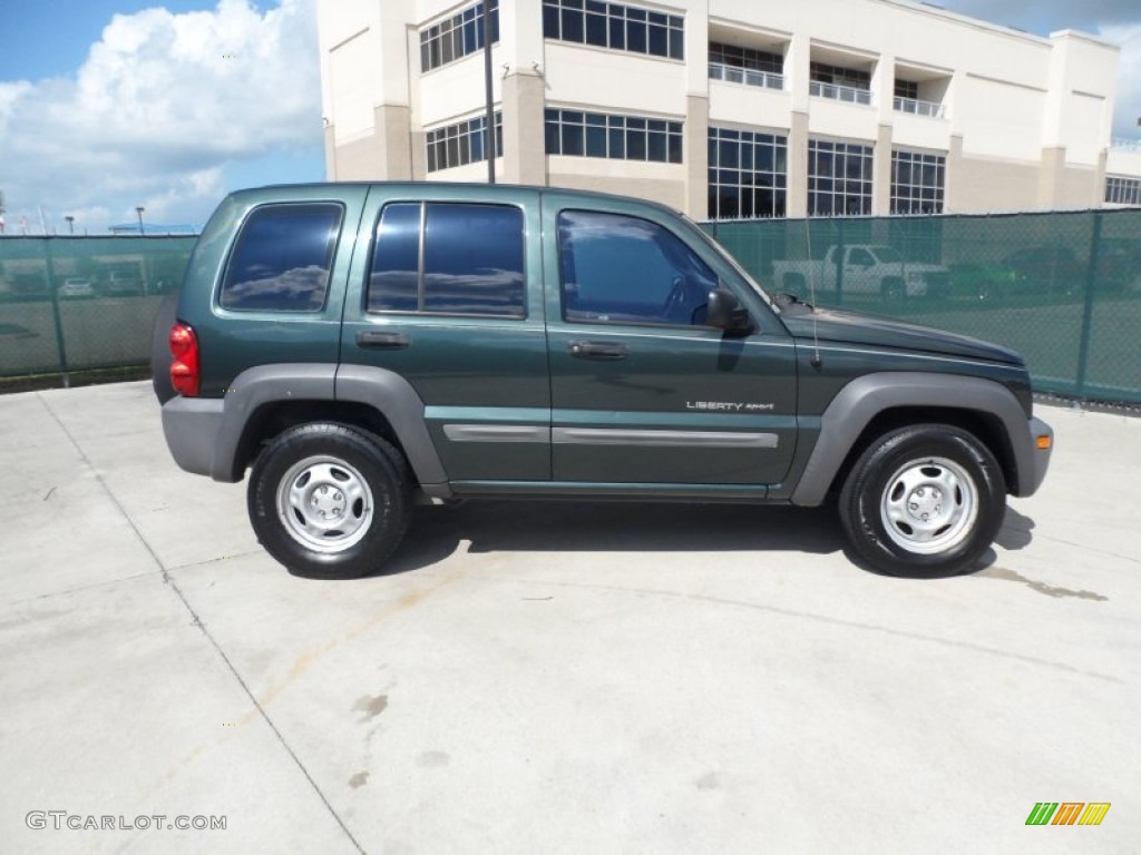 2002 Liberty Sport - Shale Green Metallic / Dark Slate Gray photo #2
