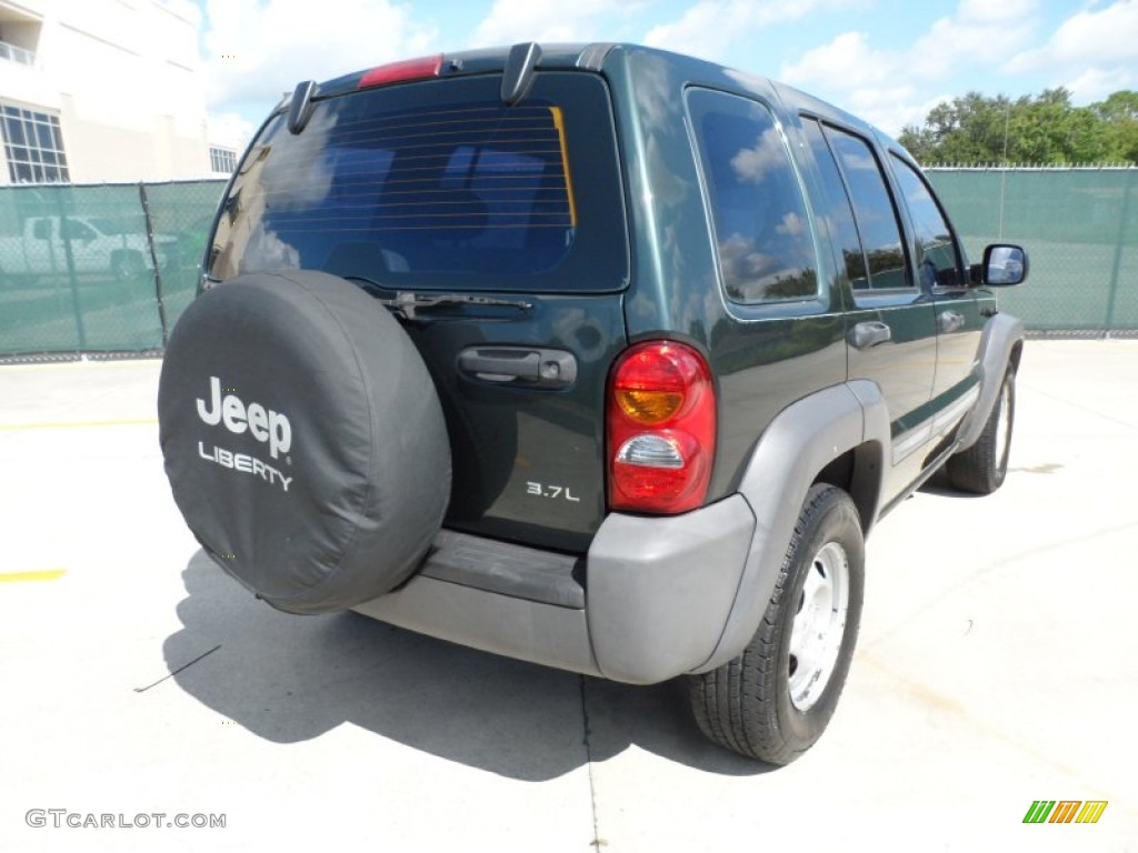 2002 Liberty Sport - Shale Green Metallic / Dark Slate Gray photo #3