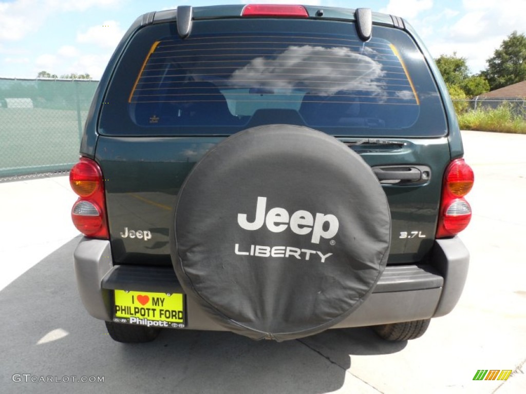 2002 Liberty Sport - Shale Green Metallic / Dark Slate Gray photo #4