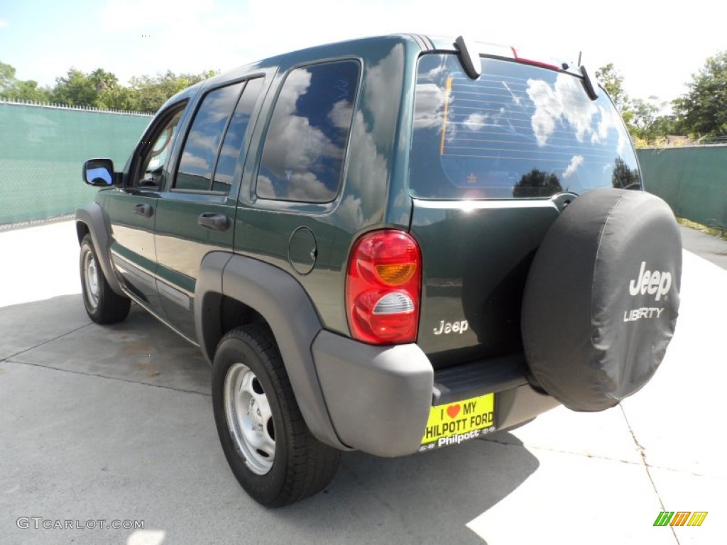 2002 Liberty Sport - Shale Green Metallic / Dark Slate Gray photo #5