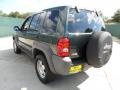 2002 Shale Green Metallic Jeep Liberty Sport  photo #5