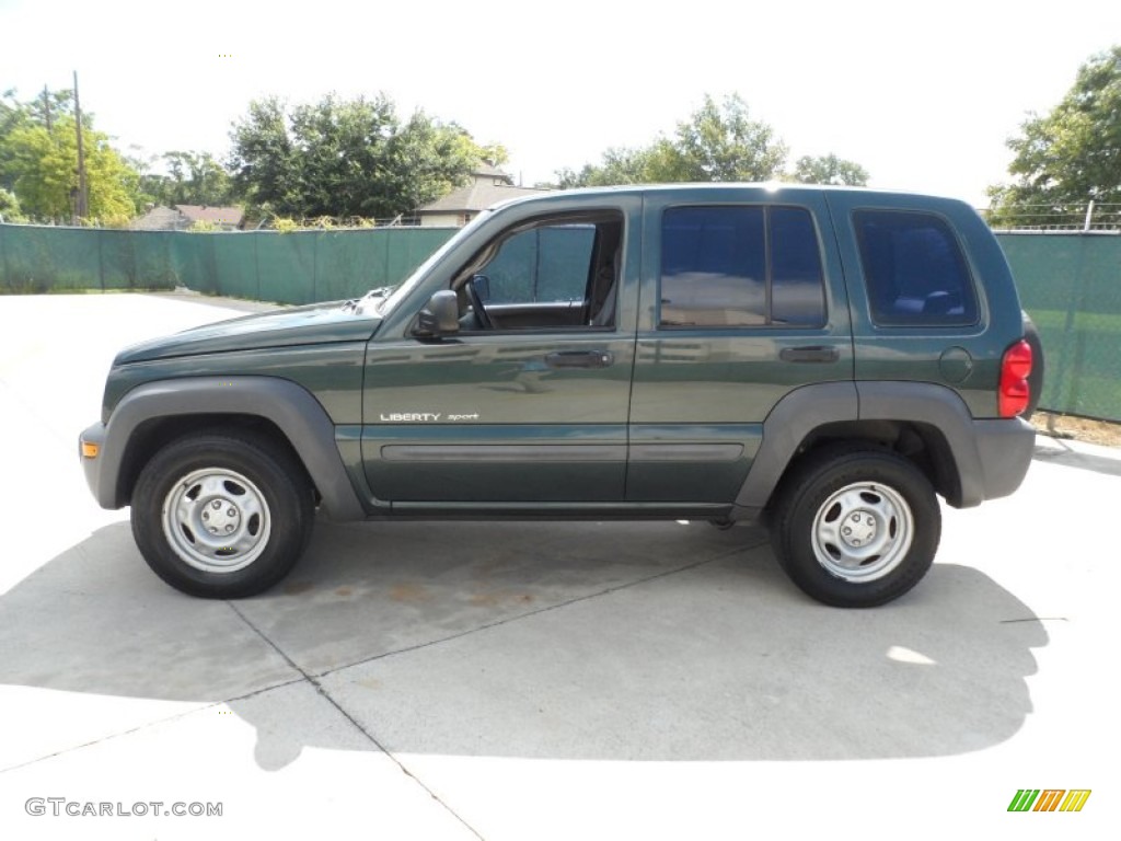 2002 Liberty Sport - Shale Green Metallic / Dark Slate Gray photo #6