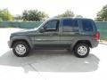 2002 Shale Green Metallic Jeep Liberty Sport  photo #6