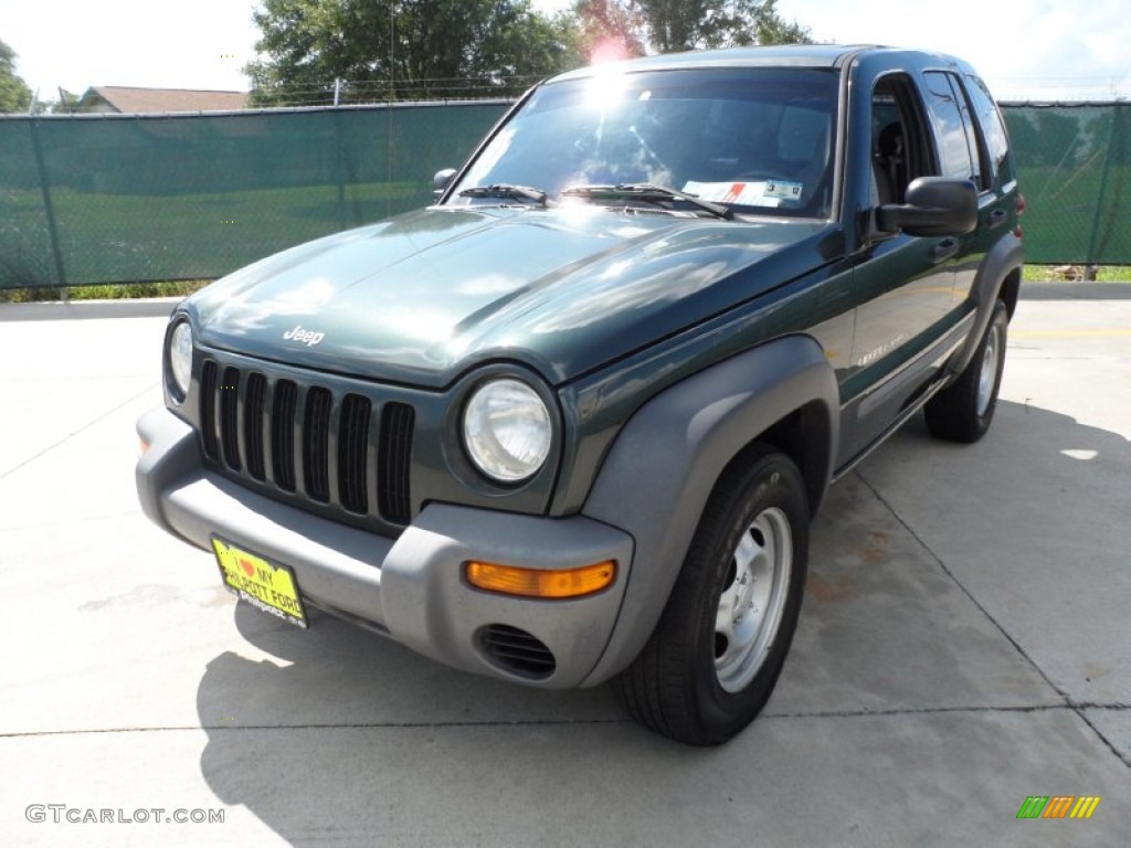 2002 Liberty Sport - Shale Green Metallic / Dark Slate Gray photo #7