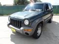 2002 Shale Green Metallic Jeep Liberty Sport  photo #7