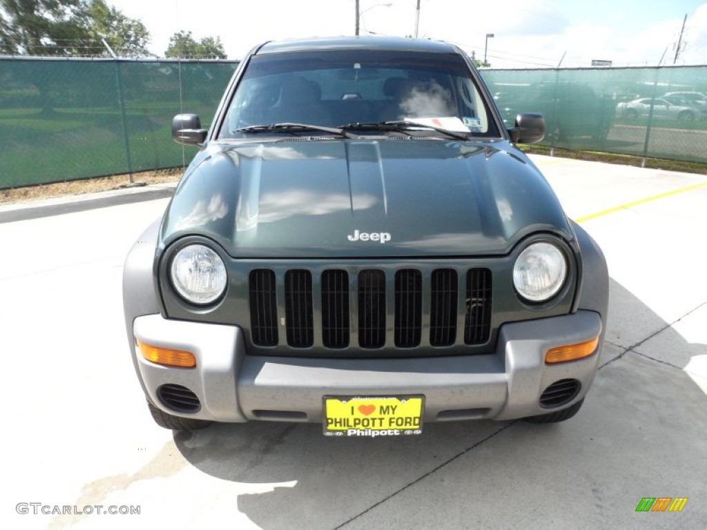 2002 Liberty Sport - Shale Green Metallic / Dark Slate Gray photo #8