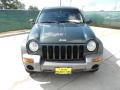 2002 Shale Green Metallic Jeep Liberty Sport  photo #8