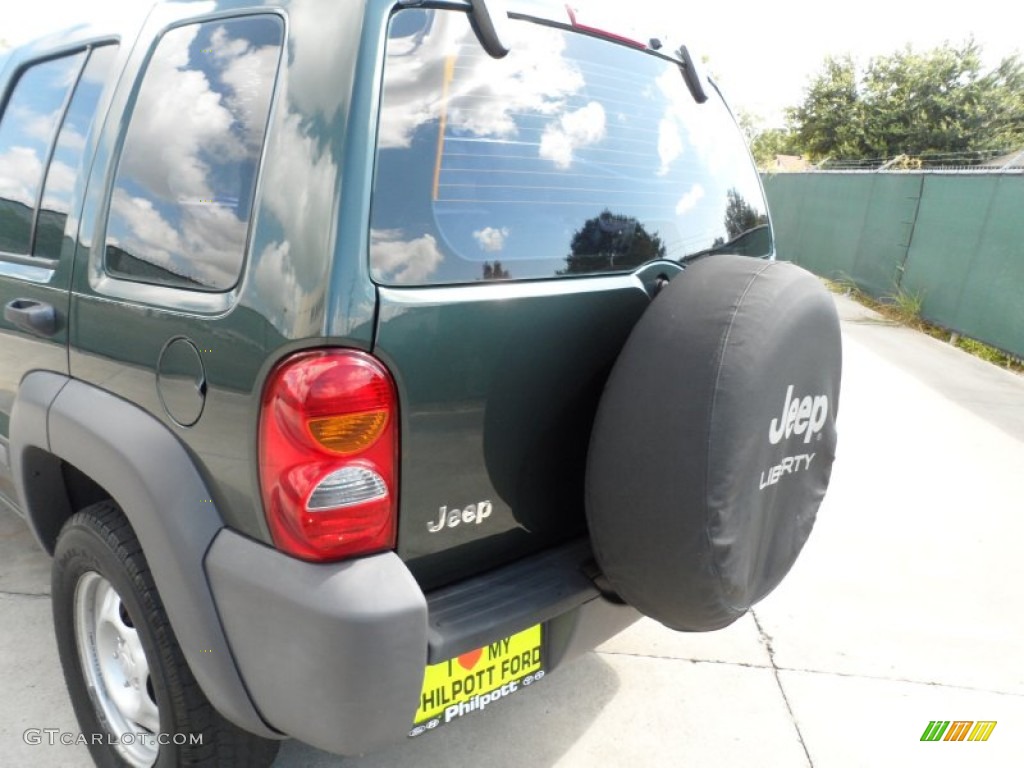 2002 Liberty Sport - Shale Green Metallic / Dark Slate Gray photo #19