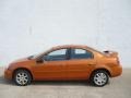 2005 Orange Blast Pearlcoat Dodge Neon SXT #52687892