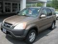 Mojave Mist Metallic 2002 Honda CR-V EX 4WD Exterior