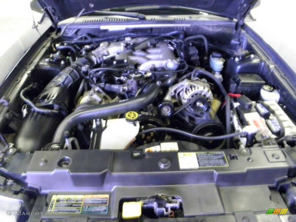 2002 Mustang V6 Coupe - True Blue Metallic / Dark Charcoal photo #5