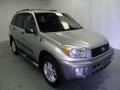 Titanium Metallic - RAV4 4WD Photo No. 1