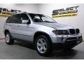 Titanium Silver Metallic - X5 3.0i Photo No. 3