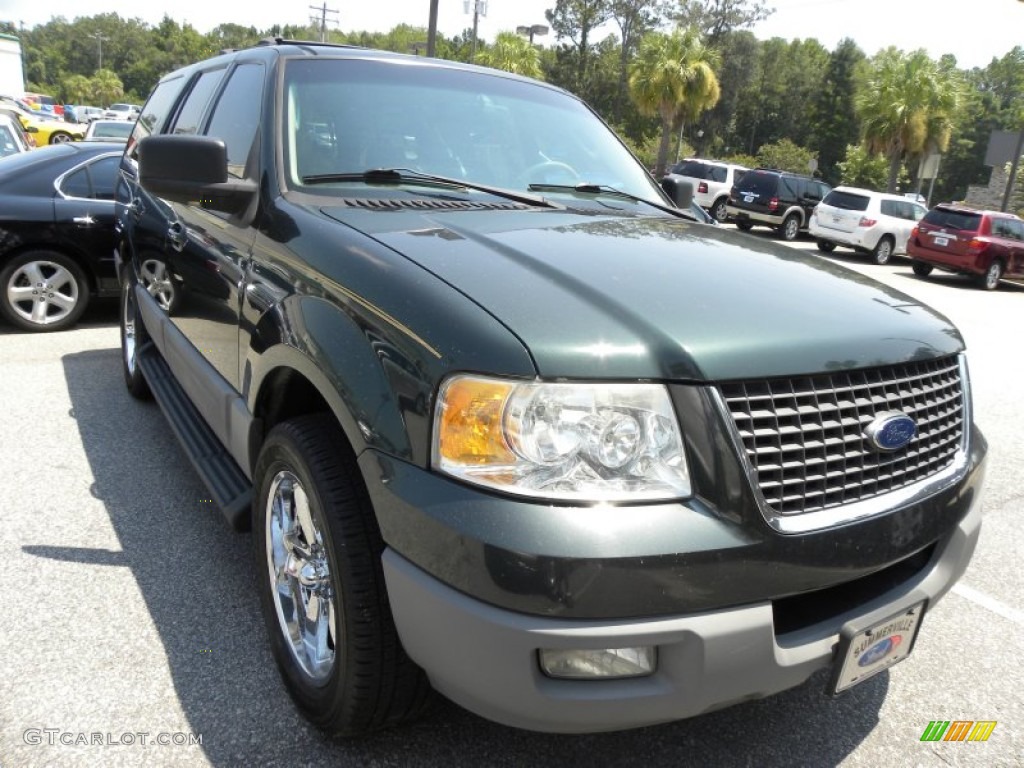 2003 Expedition XLT - Aspen Green Metallic / Medium Parchment photo #1