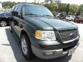 Aspen Green Metallic - Expedition XLT Photo No. 1