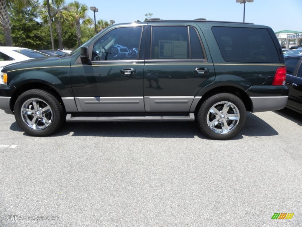 2003 Expedition XLT - Aspen Green Metallic / Medium Parchment photo #2