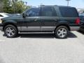 Aspen Green Metallic - Expedition XLT Photo No. 2