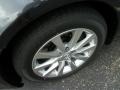 Smoky Granite Mica - LS 460 AWD Photo No. 9