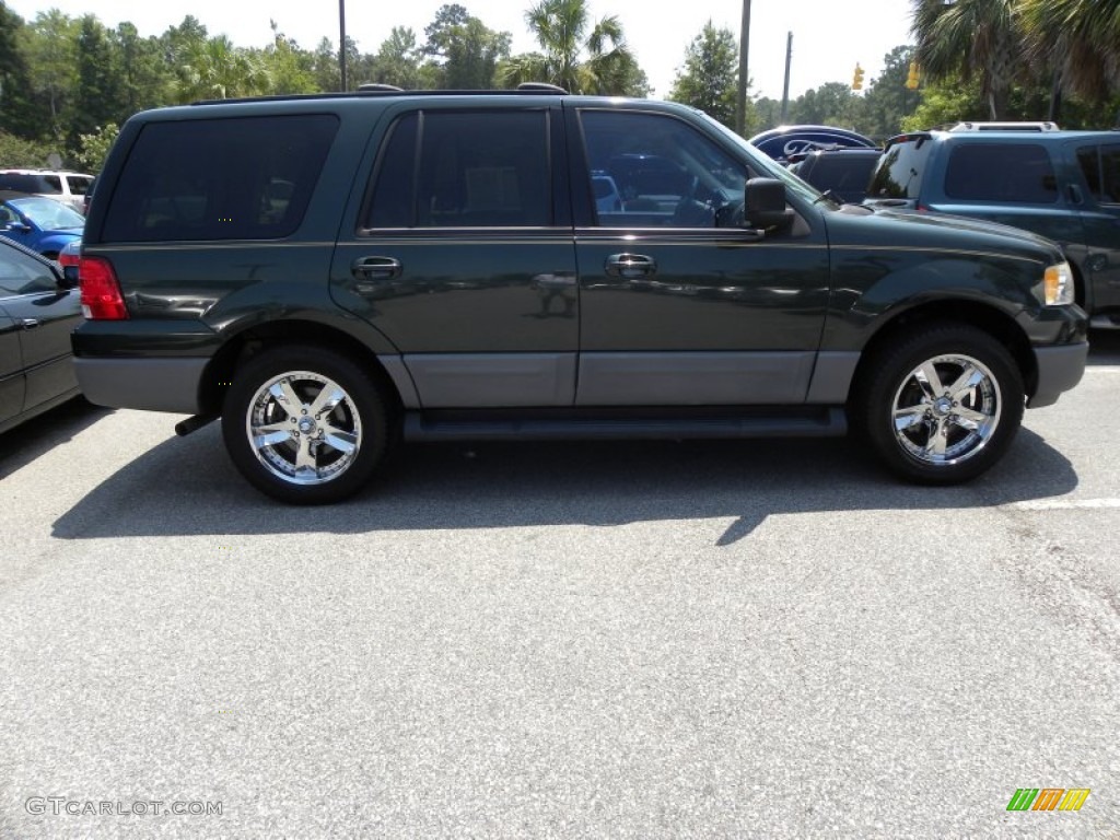 2003 Expedition XLT - Aspen Green Metallic / Medium Parchment photo #13
