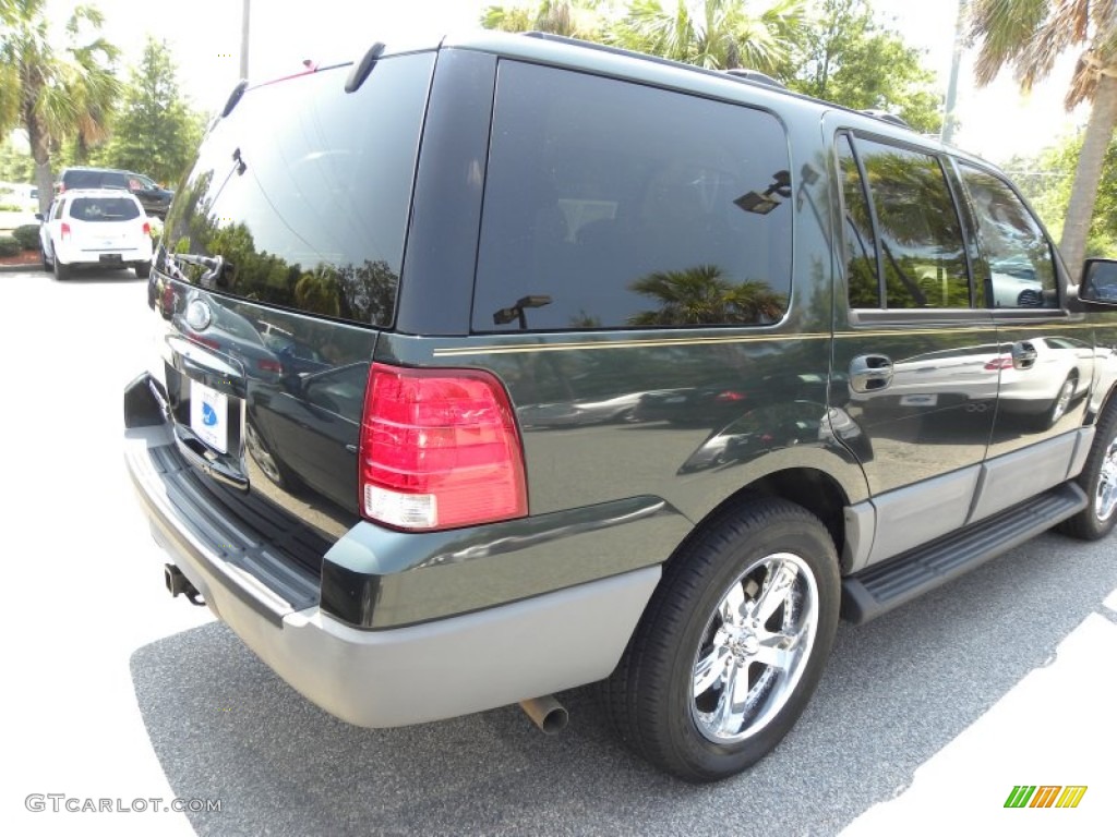 2003 Expedition XLT - Aspen Green Metallic / Medium Parchment photo #14