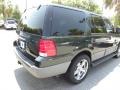 Aspen Green Metallic - Expedition XLT Photo No. 14
