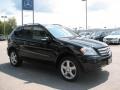 Black - ML 350 4Matic Photo No. 4