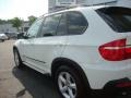 Alpine White - X5 3.0si Photo No. 4