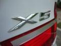 Alpine White - X5 3.0si Photo No. 7