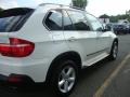 Alpine White - X5 3.0si Photo No. 8