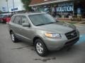 2007 Natural Khaki Green Hyundai Santa Fe GLS 4WD  photo #1