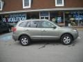 2007 Natural Khaki Green Hyundai Santa Fe GLS 4WD  photo #2