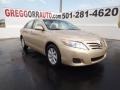 Sandy Beach Metallic - Camry LE Photo No. 1