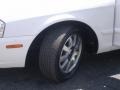 Clear White - Optima LX V6 Photo No. 23