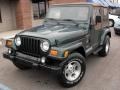 Forest Green - Wrangler Sahara 4x4 Photo No. 2