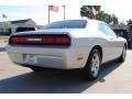 Bright Silver Metallic - Challenger SE Photo No. 5