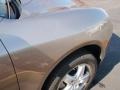 Jarama Beige Metallic - Cayenne S Photo No. 20