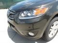 2011 Black Forest Green Hyundai Santa Fe Limited  photo #12