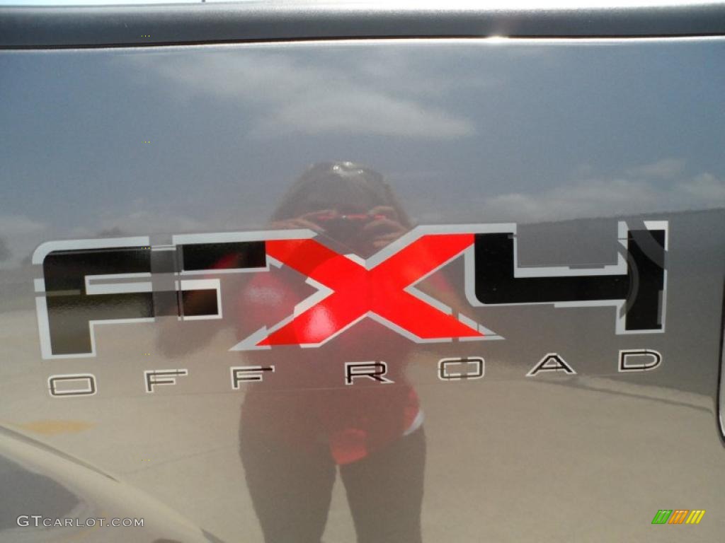 2011 F150 FX4 SuperCrew 4x4 - Sterling Grey Metallic / Black photo #19