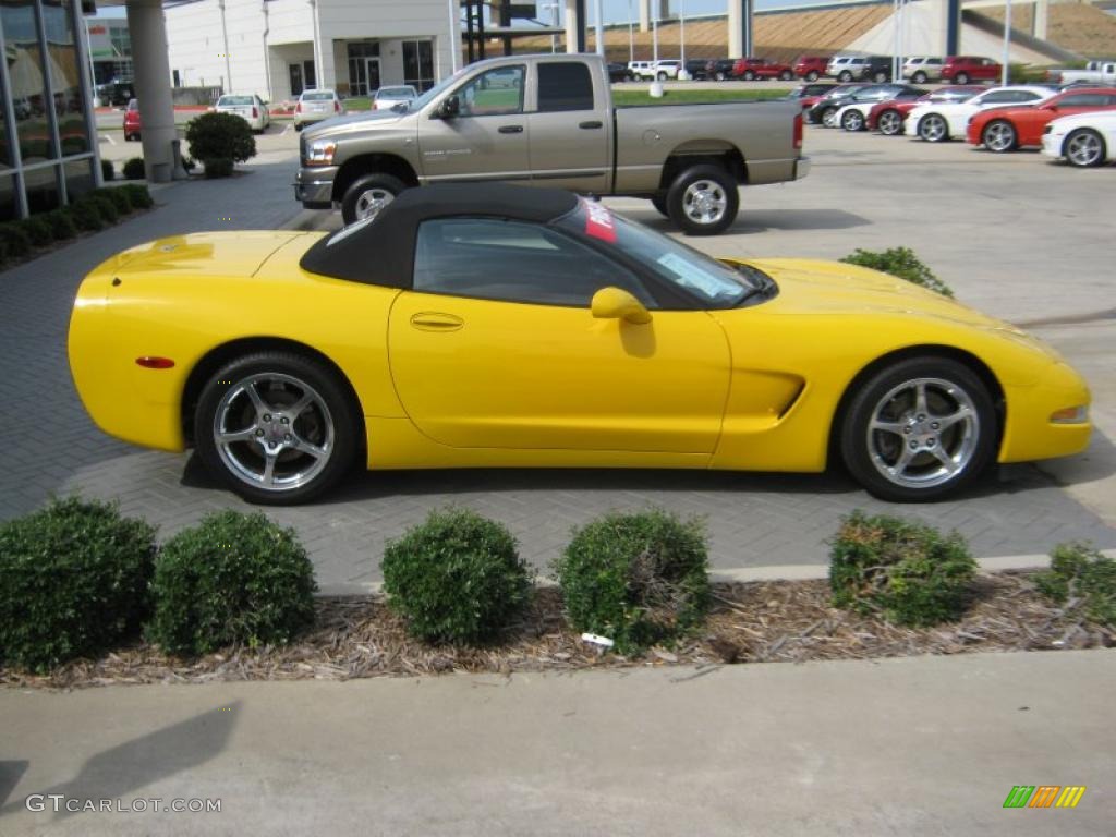 2003 Corvette Convertible - Millenium Yellow / Black photo #6