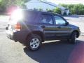 2006 Dark Stone Metallic Ford Escape XLT V6 4WD  photo #4